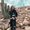 Photo of Jocelyne D.