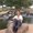 Photo of Maryann B.