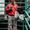 Photo of Julian N.
