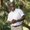 Photo of Terrance G.