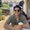 Photo of Arvin S.