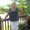 Photo of Judy S.