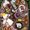 Photo of Elizabeth R.