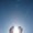 Photo of Dash F.