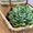 Photo of Elizabeth S.