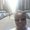 Photo of Kristal H.