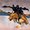 Photo of Ron R.