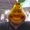 Photo of Guapo S.