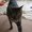 Photo of Qype User (Ellroy…)