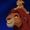Photo of Lion K.