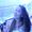 Photo of Nadia G.