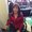 Photo of Carole C.
