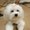 Photo of yujin l.
