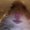 Photo of Alix F.