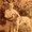 Photo of John S.