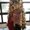 Photo of Malinda P.