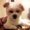 Photo of Anh Loan D.