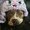 Photo of Rebecka G.