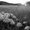 Photo of Qype User (Daisy1…)