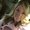 Photo of Catina C.