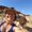 Photo of Karen B.