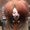Photo of Jamila J.