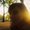 Photo of Nastya G.