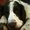 Photo of buster b.