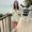 Photo of Amanda C.