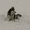 Photo of Satomi N.