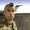 Photo of Brandon F.
