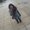 Photo of Rebecca M.