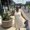 Photo of Dina B.