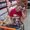 Photo of Bailie N.