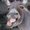 Photo of Donkeyteeth M.