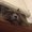 Photo of Ridell A.
