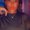 Photo of Donesha H.