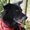 Photo of Qype User (nissah…)