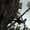 Photo of Qype User (helmut…)