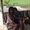 Photo of Adjoa A.
