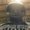 Photo of Marquell M.