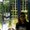 Photo of Sugandha P.