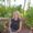 Photo of Christina S.