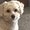 Photo of Eydie A.