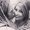 Photo of Brooke S.