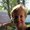 Photo of Teri A.