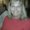 Photo of Diane R.