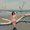 Photo of Jackeline G.