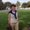 Photo of Mandy C.