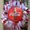 Photo of Edith S.